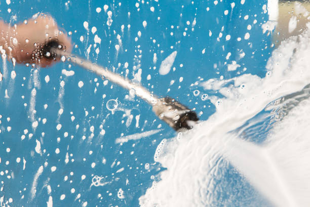Best Pre-Holiday Cleaning  in Bell Nyon, CA