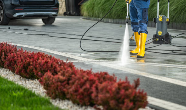 Best Driveway Pressure Washing  in Bell Nyon, CA